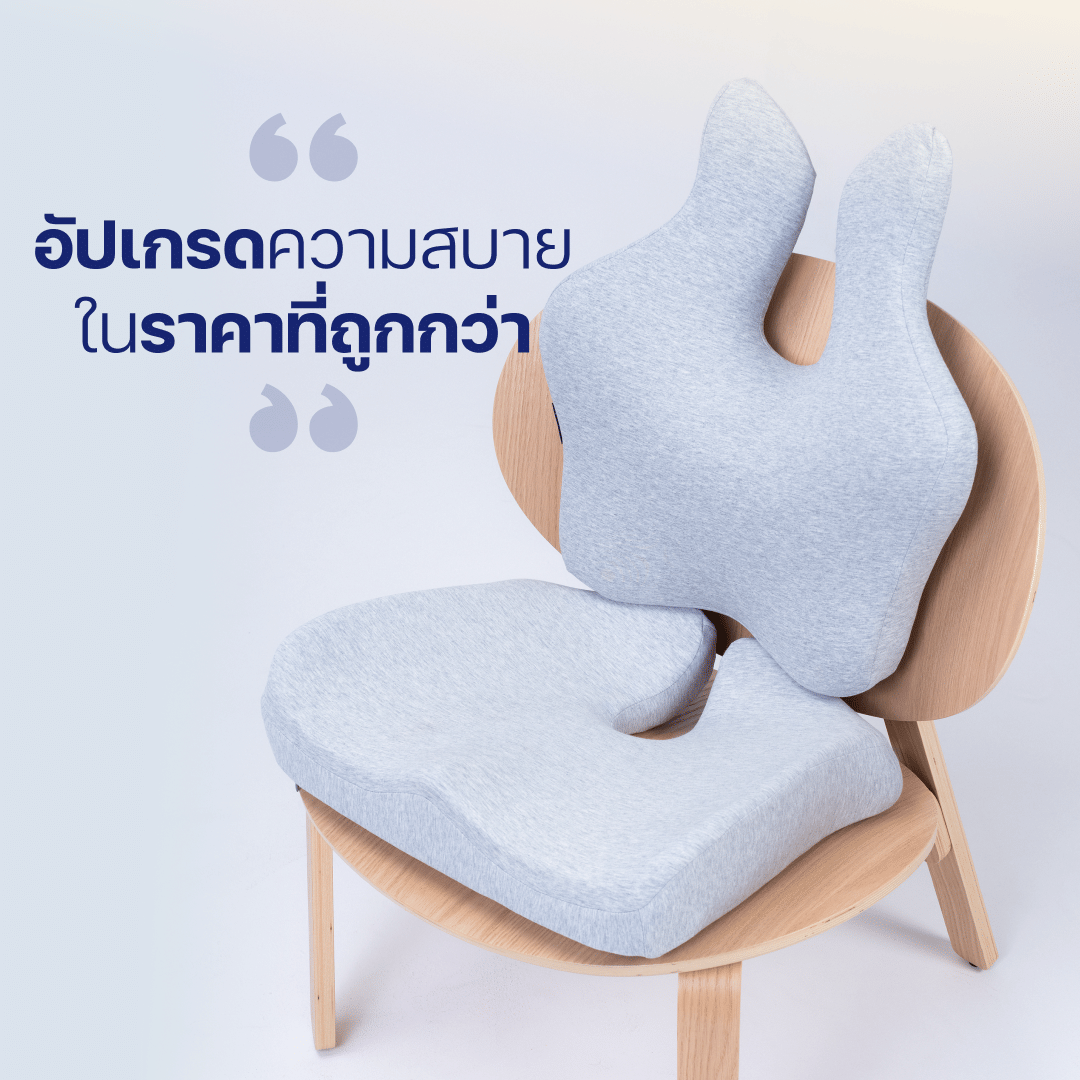 เบาะรองหลัง ERGOLAB 49X45X8 ซม. สีเทา_7